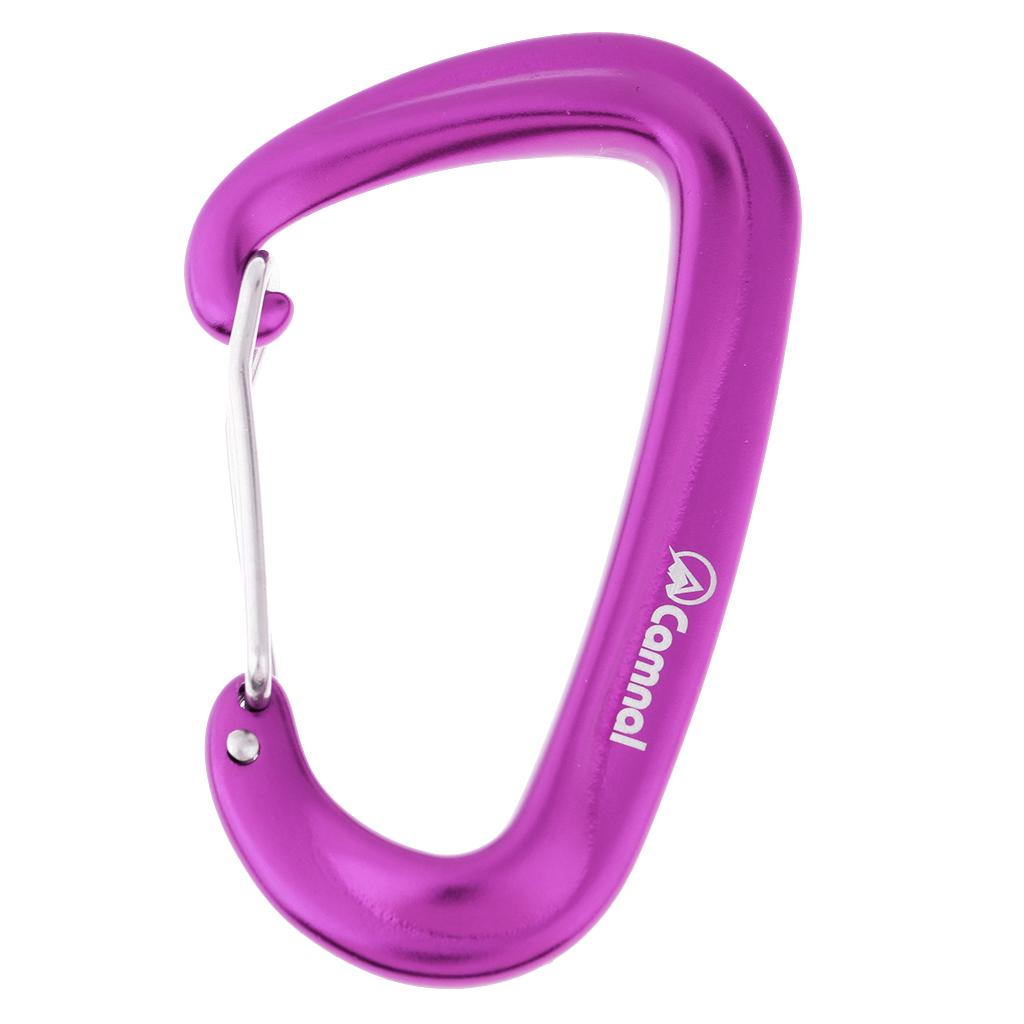 Lightweight Aluminum Carabiner - Outdoor Camping Hammock recension och pris